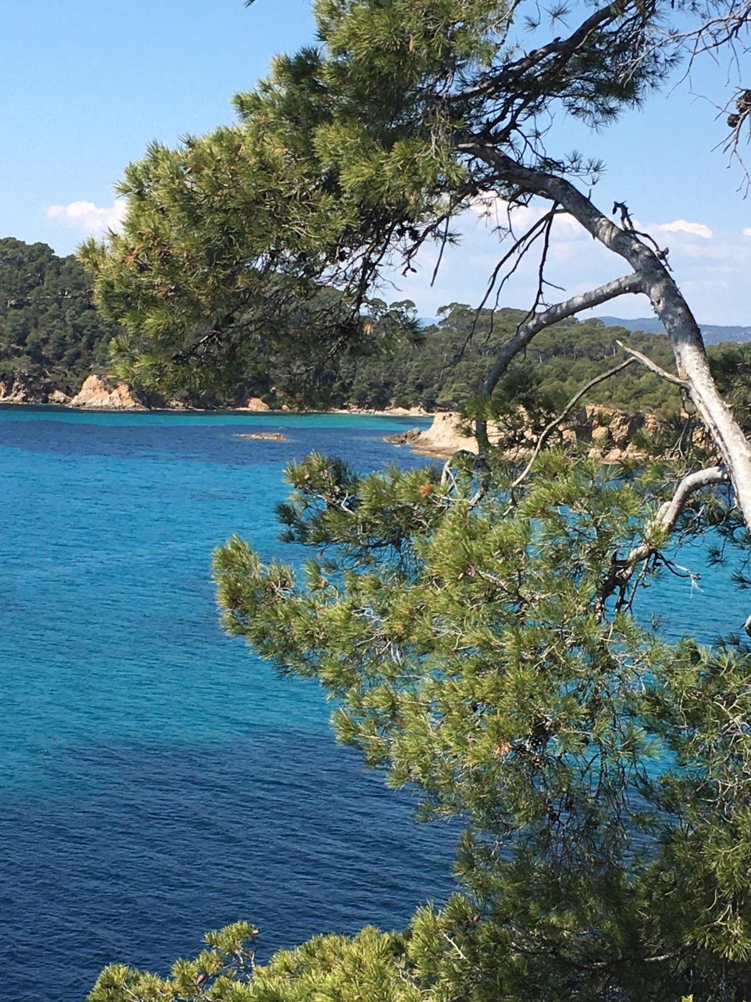 Appartement T3 Lumineux Traversant Totalement Neuf En Face De La Plage Front De Mer Vue Sur Les Iles Vue Mer Panoramique Assuree Residence De La Plage Centre Ville Du Lavandou 3Eme Etage Avec Ascenseur Appartement T3 르 라방두 외부 사진